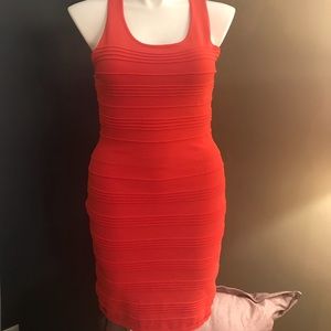 Gianni Bini bodycon dress